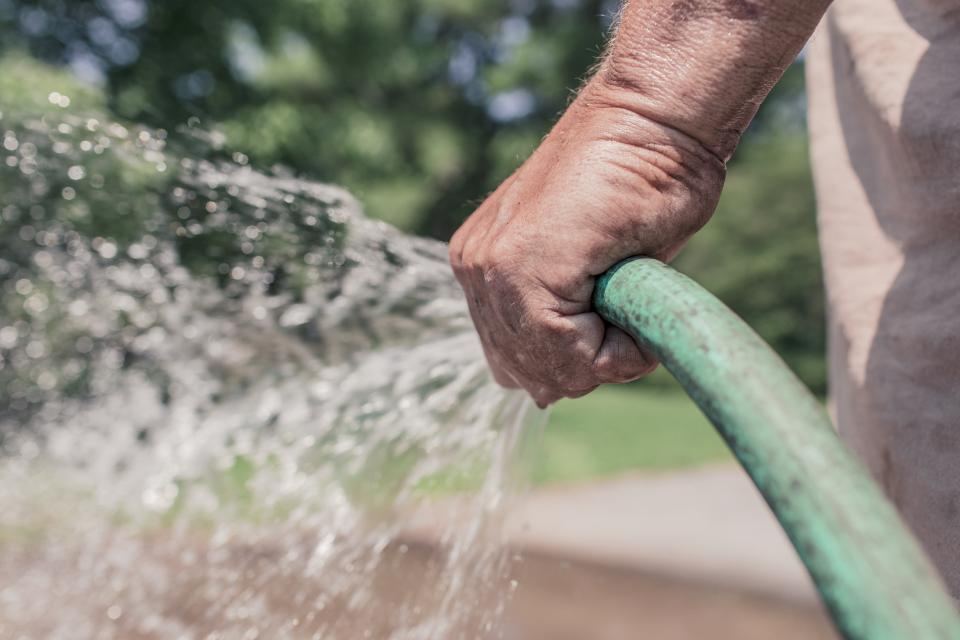 A gardener watering with a hose